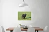 MuchoWow® Poster Schaf - Lamm - Schwarz - Gras 90x60 cm - Produktbild-Vorschau 3