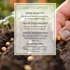 Kit di partenza per bonsai con eBook  - set di vasi di Anteprima dell’immagine prodotto 5