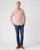 Wrangler LS Western Shirt Herren T -Shirt T -Shirt Etruscan Anteprima dell’immagine prodotto 6