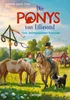Die Ponys von Lillasund 4. Das Mittsommer-Turnier Produktbild-Vorschau 1