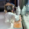Futternapf Katze Erhöht, Futterstation Katzen 3er Set Näpfe Produktbild-Vorschau 10