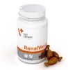 VetExpert RenalVet 60 caps. Productafbeelding-voorbeeld 3