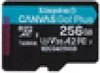 Kingstons Canvas Go! Plus microSD für Abenteurer und mobile Produktbild-Vorschau 6