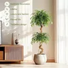 Ficus artificiel, tronc courbé Ficus artificiel avec pot Voir les images du produit 2