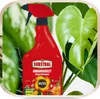 Insektenspray Polysect - 750 ml - gegen Schädlinge - Produktbild-Vorschau 12