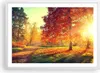 Gerahmtes Poster - Weißer Rahmen - Park Herbst Baum - 70x50 Produktbild-Vorschau 1