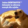 Pedigree DentaStix 112 sztuk (16x180g) Medium Średnie Rasy Podgląd zdjęcia produktu 5