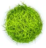 Aquarium Pflanze Eleocharis acicularis Tropica Nr.133 TC in Produktbild-Vorschau 2