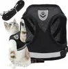 A cat wearing a black harness and a black leash next to the harness. Podgląd zdjęcia produktu