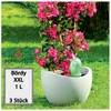 Scheurich Wasserspender Bördy XXL | 3x Grün | 1000 ml Produktbild-Vorschau 1
