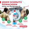 POWER CLEANER Fensterreiniger Konzentrat 1L [1:200 Produktbild-Vorschau 4