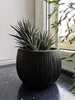 Kvetináč s vložkou BETON BOWL 23,8 cm - čierny Náhľad obrázku produktu 13