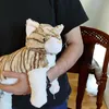 Maman chat avec bébés Doudou Noxxiez Kitten Peluche Voir les images du produit 5