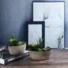 T4U pianta artificiale succulenta verde set di 2 con vaso Anteprima dell’immagine prodotto 2