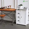 VOUNOT® Armoire de salle de bain avec 4 tiroirs & 1 porte Voir les images du produit 3
