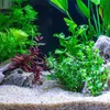 Gravier d'aquarium, quartz 2-3 mm clair, 16 kg Voir les images du produit 3