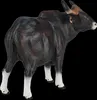 Mojo Fun Gaur Bull, 3 rok / roky, Wildlife, Čierna, Hnedá, Náhľad obrázku produktu 6