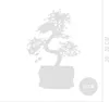Bloomique - Bonsai Zelkova - Kształt litery S - Drzewko Podgląd zdjęcia produktu 6