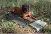 Farm-Land Outdoor Hundebett Universaldecke mit Tasche Produktbild-Vorschau 3