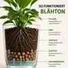 Blähton Tongranulat 4/16 mm 50 Liter für Hydrokultur und Produktbild-Vorschau 3