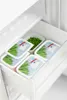 Rotho Set Gefrierdosen 4 tlg. 7552602120 Produktbild-Vorschau 8