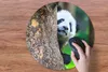 MuchoWow® Mauspad Mousepad Panda - Baum - Wald 50x50 cm - Produktbild-Vorschau 3