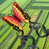 Enero Toys kaskadérský drak "Butterfly" 88×78 cm - Náhled obrázku produktu 4