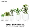 Fox & Fern Blumentopf, Übertopf Groß, UV- und Produktbild-Vorschau 5
