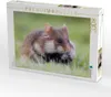 CALVENDO Puzzle Feldhamster | 2000 Teile Lege-Größe 90x67cm Produktbild-Vorschau 2