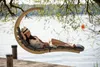 Amazonas Amazonas Hängesessel Swing Lounger Anthrazit Produktbild-Vorschau 16