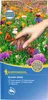 Kiepenkerl Blumen-Wiese, 1 kg Produktbild-Vorschau 3