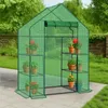 A green greenhouse with plants on shelves, set up on a patio in a garden. Voir les images du produit