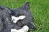 Figurine de jardin Décoration chat endormi noir Voir les images du produit 5