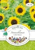 Artikelbild 1 von 'BIO Sonnenblumen Gelbe Riesen' aus der Kategorie Sonnenblumensamen Produktbild-Vorschau