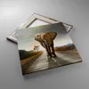 Bild auf Leinwand - Leinwandbild - Elefant Straße Produktbild-Vorschau 2