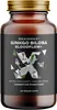 BrainMax Ginkgo Biloba Bloodflow+, 60 pflanzliche Kapseln Produktbild-Vorschau 1