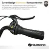 Dallas Bike Herrenfahrrad - 28 Zoll - Stahlrahmen XL 21" - Produktbild-Vorschau 4