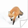 MuchoWow® Poster Fuchs - Schnee - Winter 50x50 cm - Produktbild-Vorschau 1