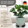 TTL HOME Pflanzenroller VERSO Ø38–50cm rund wetterfest mit Produktbild-Vorschau 7
