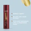 Velvet Oil šampon pro ženy 250 - Londa Professional Náhled obrázku produktu 5