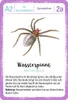 Expedition Natur Quartett Minimonster Produktbild-Vorschau 3