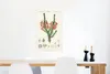 MuchoWow® Poster Pflanze - Blume - Botanik 60x90 cm - Produktbild-Vorschau 5