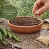 Tropica Kakteen - Königin der Nacht Produktbild-Vorschau 4