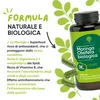 RedMoringa Moringa Kapseln Hochdosiert - 90 Vegane Kapseln Produktbild-Vorschau 7
