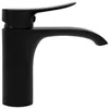 A black faucet on a white background. Náhled obrázku produktu