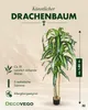 Smocze drzewo Sztuczne drzewo Sztuczna roślina Sztuczna Podgląd zdjęcia produktu 2