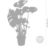Bloomique - Lot de 2 - Monstera Deliciosa - Monstera - Voir les images du produit 5