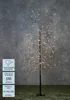 Luca Lighting Boom met Warm Witte LED Verlichting - H150 x Productafbeelding-voorbeeld 6