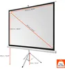 celexon basic Stativ-Leinwand 120" | 220x220 cm 1:1 | Produktbild-Vorschau 2