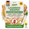 GREEN GUARDIA Lagererzwespen gegen Brotkäfer - 4 Röhrchen à Produktbild-Vorschau 1